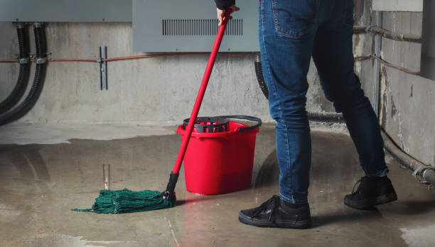 Best Mold removal after water damage  in Coaldale, PA