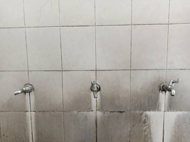 Best Local water damage restoration  in Coaldale, PA