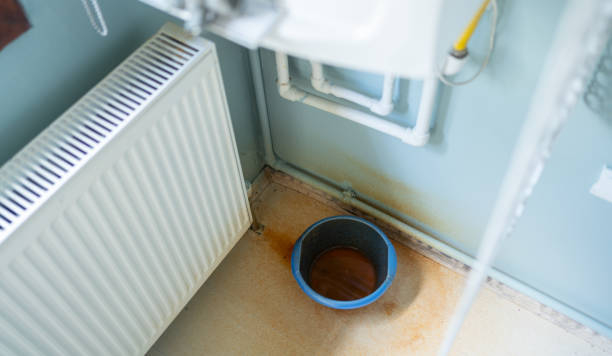 Best Flooded house restoration  in Coaldale, PA